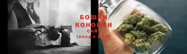 сатива Зерноград